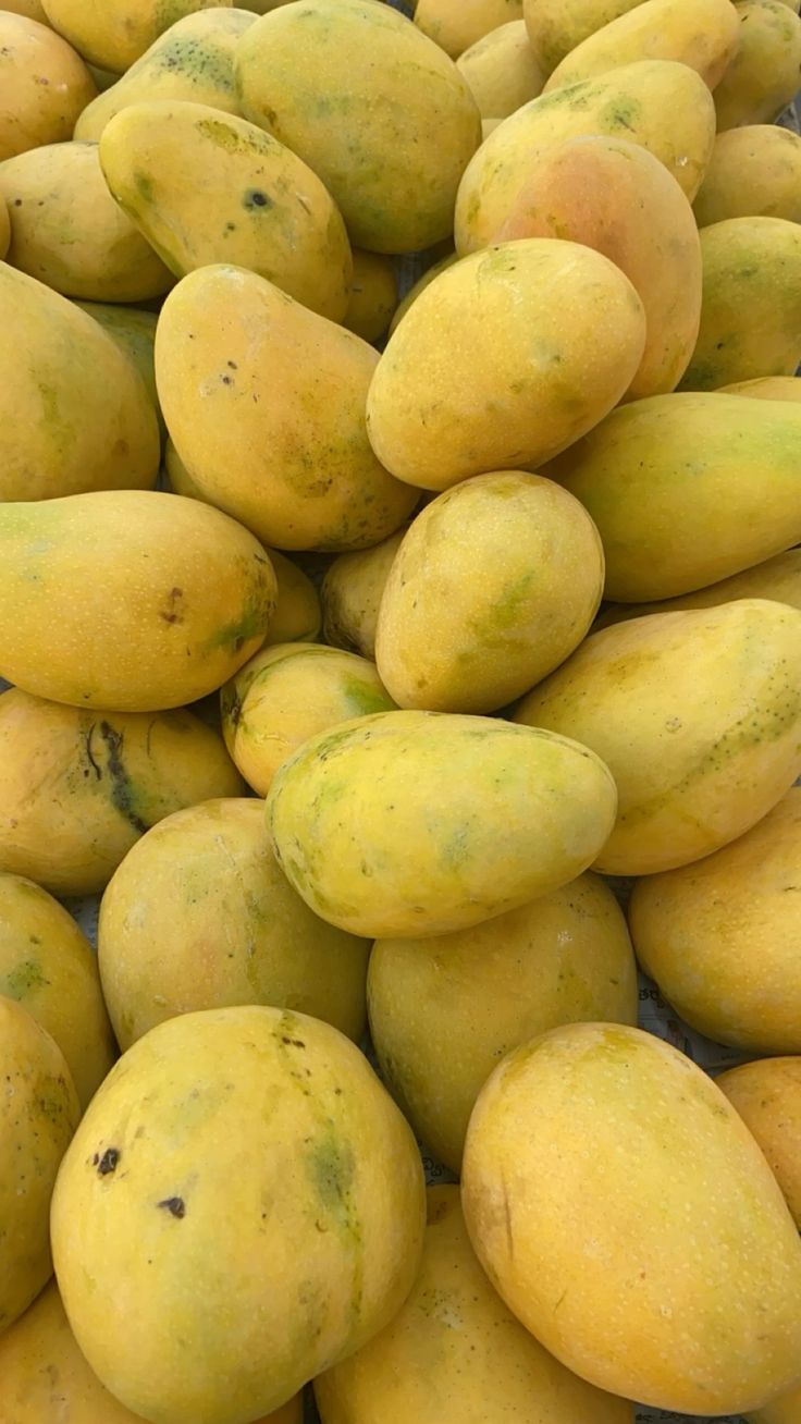 Banganapalli 3