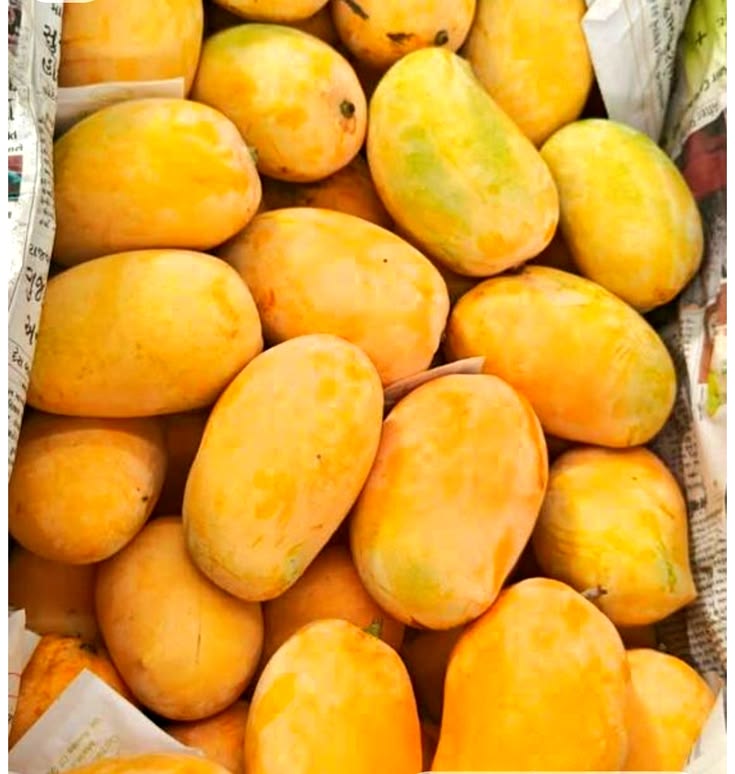 Rasam 3