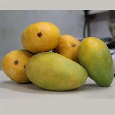 Rasam mango